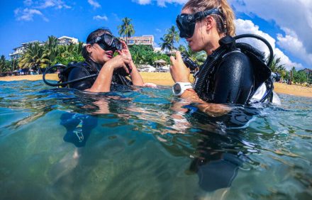 Diving in Sri Lanka: Explore an Underwater Wonderland